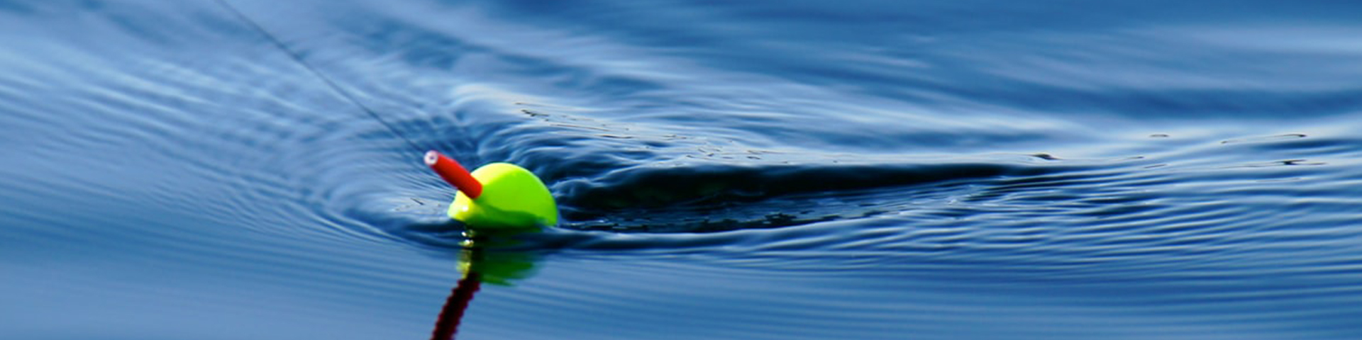 Университет «Синергия» стал спонсором рыболовных соревнований в Ненецком автономном округе