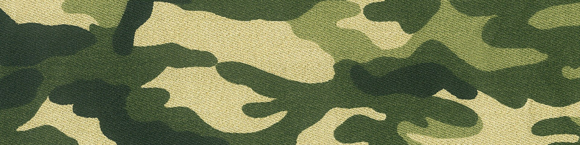 Региональные представительства проводят презентации проектов «Армия» и «Призывник» в воинских частях и военных комиссариатах