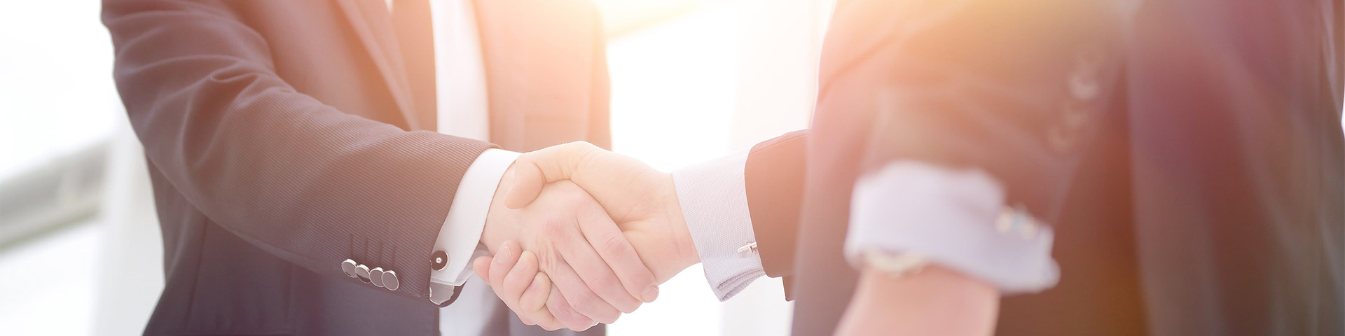 Университет «Синергия» и Российский Союз боевых искусств стали деловыми партнерами